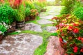 BeautifulÃÆÃâÃÂ¢Ã¢âÂ¬ÃÂ¡ÃÆÃ¢â¬Å¡ÃâÃÂ garden and stone path and blooming flower and tree with green leaves